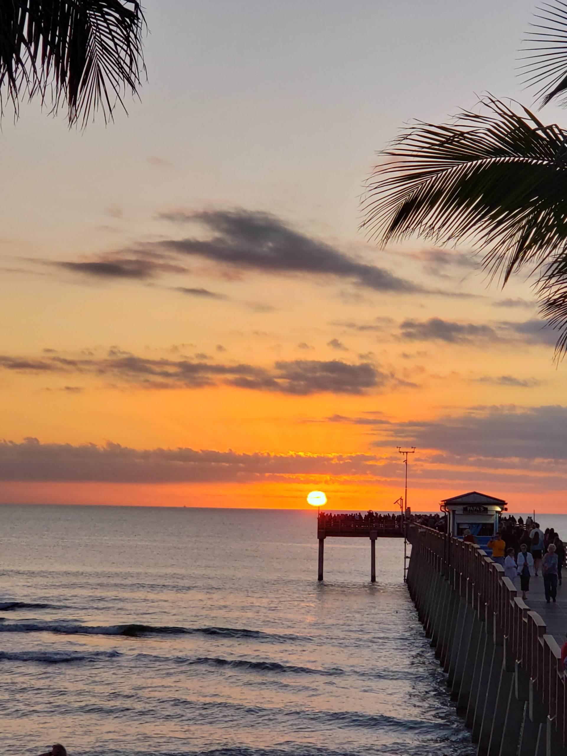 A Sharky sunset